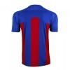 Crystal Palace Koti 2020-21 - Jalkapallo Pelipaidat (S/S)